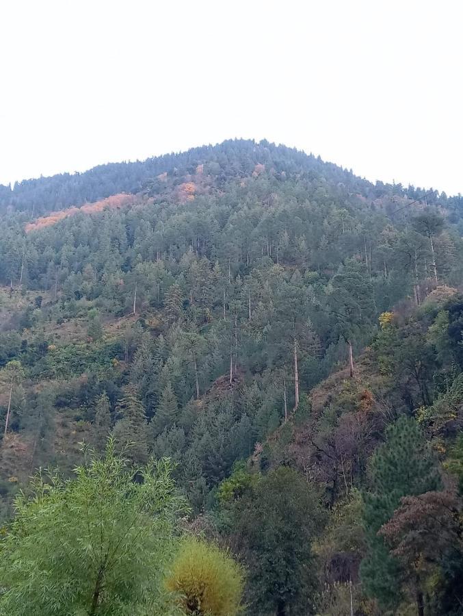 Rrr Resorts Tirthan Valley By Rrr Hotels & Resorts Banjār Exterior foto
